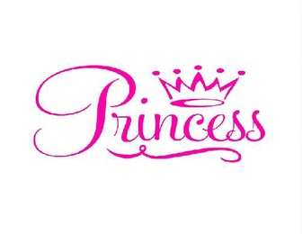 Princess Dance Studio