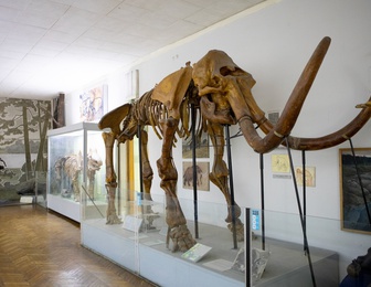 Национальный научно-естественный музей НАН Украины