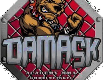 Academy MMA Damask