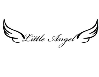 Модельна школа Little Angel